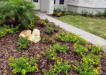 Lakeland Landscaping And Lawn Services, Landscaping Lakeland Fl